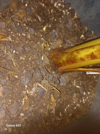 자기왕사랑해님의 자유주제 · 자유게시판 작성글 사진