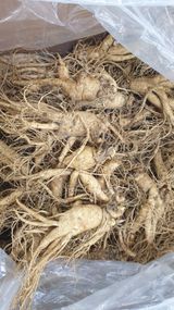 팜모닝 그동안 생산한 농작물은?·참여글 게시글 이미지