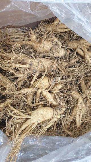 좋은정보감사합니다님의 그동안 생산한 농작물은? · 참여글 작성글 사진