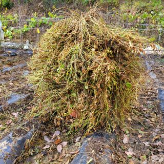 오케바리(옥경종)님의 그동안 생산한 농작물은? · 참여글 작성글 사진