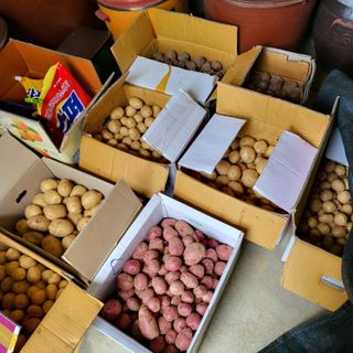 오케바리(옥경종)님의 그동안 생산한 농작물은? · 참여글 작성글 사진