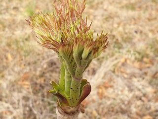 알 수 없음님의 그동안 생산한 농작물은? · 참여글 작성글 사진