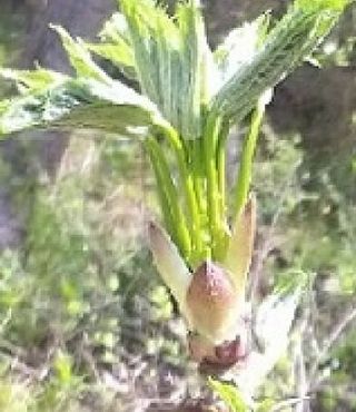 알 수 없음님의 그동안 생산한 농작물은? · 참여글 작성글 사진