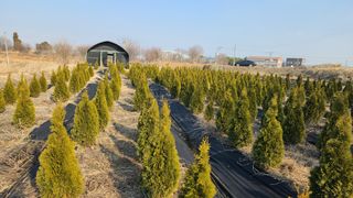 호박12769님의 그동안 생산한 농작물은? · 참여글 작성글 사진