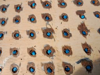 마정숙님의 2월 내 작물 자랑하기 · 참여글 작성글 사진