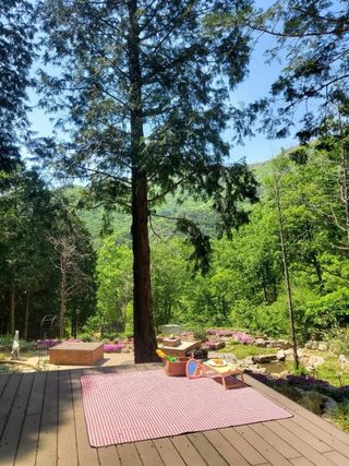 치유숲모이라양재순님의 팜모닝공식 · 광고승인요청 작성글 사진