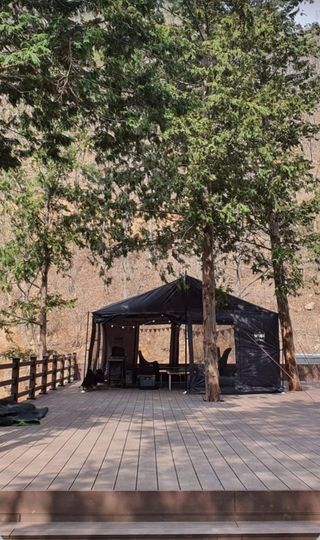 치유숲모이라양재순님의 팜모닝공식 · 광고승인요청 작성글 사진