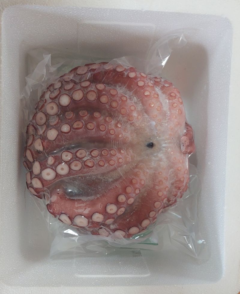 안진규(어농)님의 장터 판매 상품 [동해안 자숙 참문어 1kg] 첨부 사진