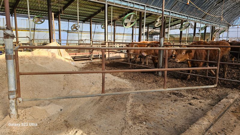 장터 상품 [비육 우사 문짝] 썸네일