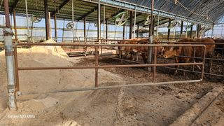 최재원님의 작성글 사진