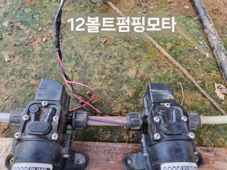 풍요님의 자유주제 · 자유게시판 작성글 사진