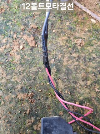 풍요님의 자유주제 · 자유게시판 작성글 사진