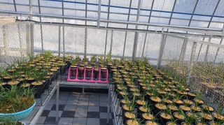 야산 양 형근님의 기타작물 · 자유게시판 작성글 사진