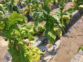 정규현님의 자유주제 · 자유게시판 작성글 사진