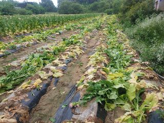 정규현님의 자유주제 · 자유게시판 작성글 사진