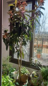 팜모닝 자유주제·자유게시판 게시글 이미지