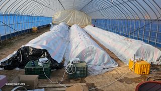 충시기님의 2월 내 작물 자랑하기 · 참여글 작성글 사진