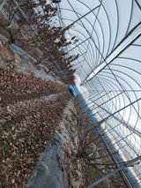 팜모닝 2월 내 작물 자랑하기·참여글 게시글 이미지