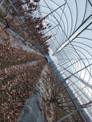 채효정님의 2월 내 작물 자랑하기 · 참여글 작성글 사진