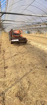 팜모닝 2월 내 작물 자랑하기·참여글 게시글 이미지