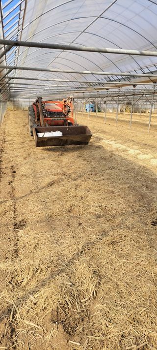 양선옥님의 2월 내 작물 자랑하기 · 참여글 작성글 사진