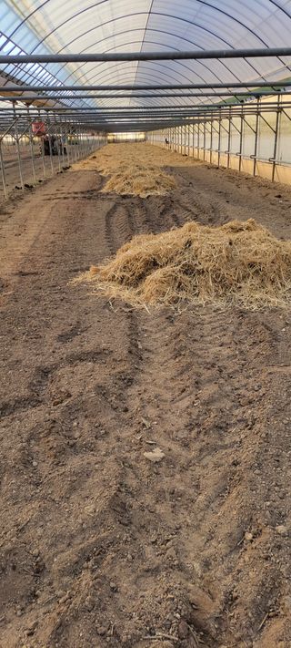 양선옥님의 2월 내 작물 자랑하기 · 참여글 작성글 사진