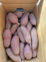 팜모닝 2월 내 작물 자랑하기·참여글 게시글 이미지