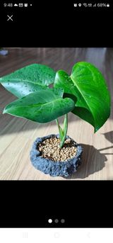 팜모닝 2월 내 작물 자랑하기·참여글 게시글 이미지