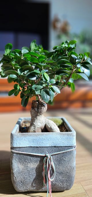 실크로드님의 2월 내 작물 자랑하기 · 참여글 작성글 사진