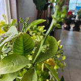 팜모닝 2월 내 작물 자랑하기·참여글 게시글 이미지