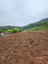 팜모닝 2월 내 작물 자랑하기·참여글 게시글 이미지