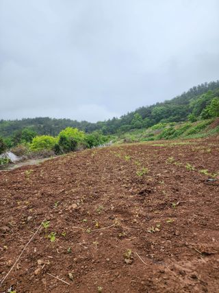 강성심님의 2월 내 작물 자랑하기 · 참여글 작성글 사진