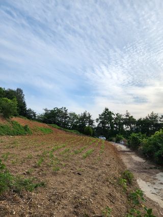 강성심님의 2월 내 작물 자랑하기 · 참여글 작성글 사진