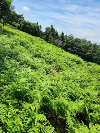 강성심님의 2월 내 작물 자랑하기 · 참여글 작성글 사진