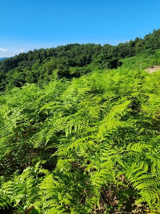 강성심님의 2월 내 작물 자랑하기 · 참여글 작성글 사진