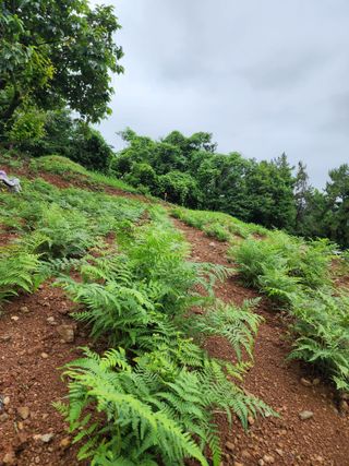 강성심님의 2월 내 작물 자랑하기 · 참여글 작성글 사진