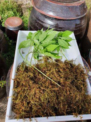 오동균님의 2월 내 작물 자랑하기 · 참여글 작성글 사진