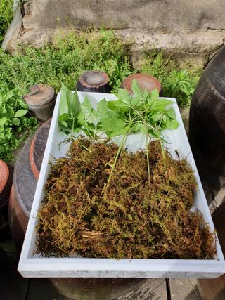 오동균님의 2월 내 작물 자랑하기 · 참여글 작성글 사진