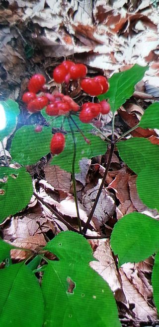 오동균님의 2월 내 작물 자랑하기 · 참여글 작성글 사진