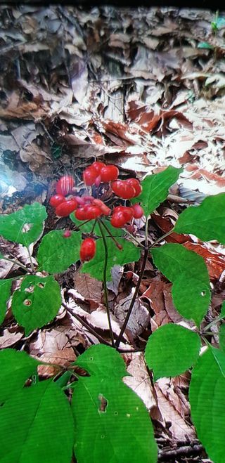 오동균님의 2월 내 작물 자랑하기 · 참여글 작성글 사진