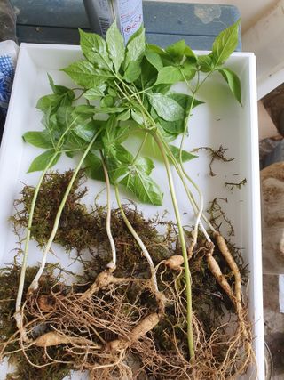 오동균님의 2월 내 작물 자랑하기 · 참여글 작성글 사진