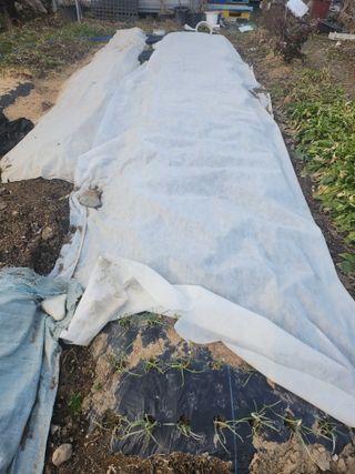 배주원님의 2월 내 작물 자랑하기 · 참여글 작성글 사진