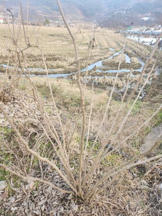 배주원님의 2월 내 작물 자랑하기 · 참여글 작성글 사진