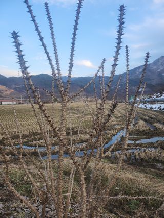 배주원님의 2월 내 작물 자랑하기 · 참여글 작성글 사진