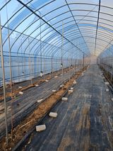 팜모닝 2월 내 작물 자랑하기·참여글 게시글 이미지