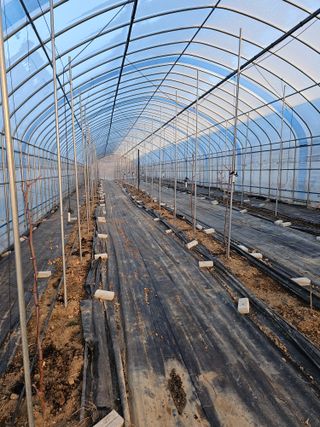 춘천바람개비님의 2월 내 작물 자랑하기 · 참여글 작성글 사진