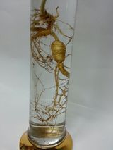 팜모닝 2월 내 작물 자랑하기·참여글 게시글 이미지