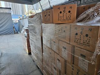 한농농약종묘사님의 감자 · 자유게시판 작성글 사진