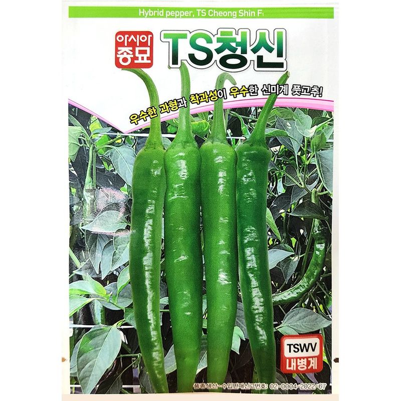장터 상품 [TS청신고추 100립] 썸네일