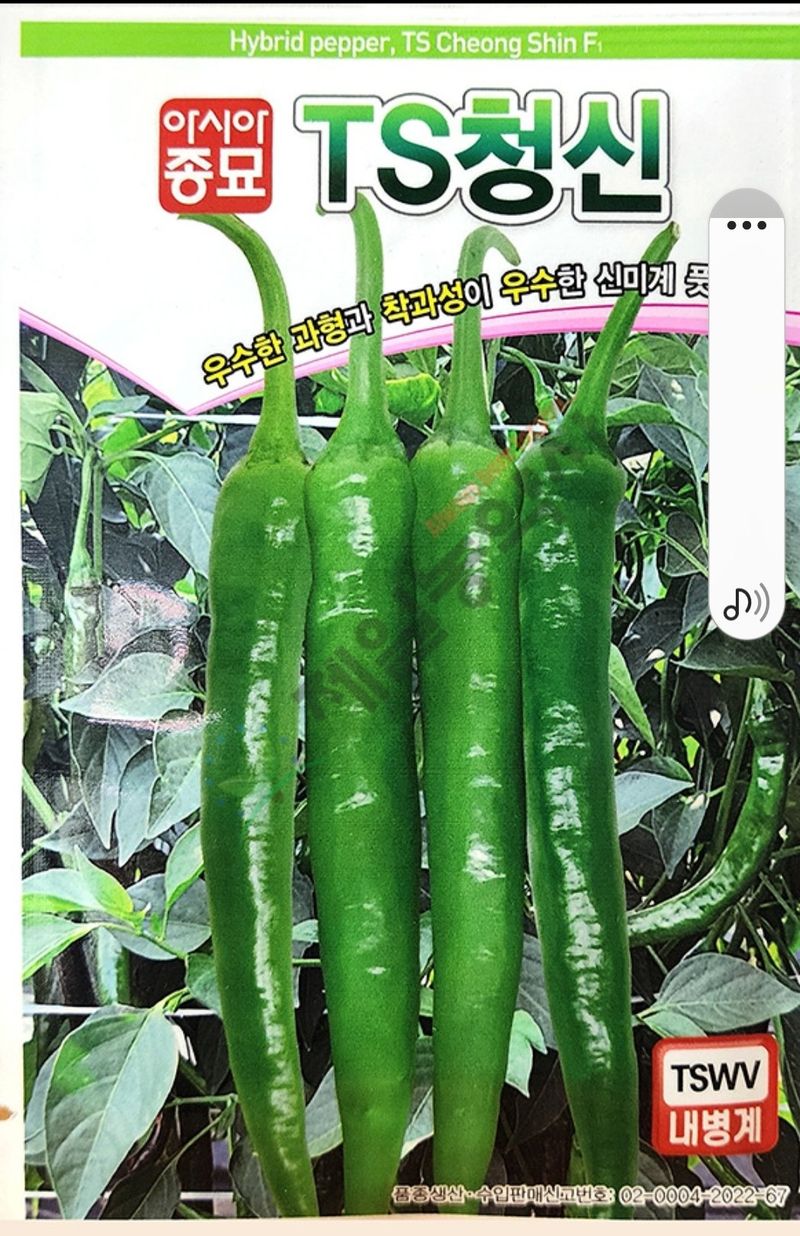 안산제일농약사님의 장터 판매 상품 [TS청신고추 100립] 첨부 사진